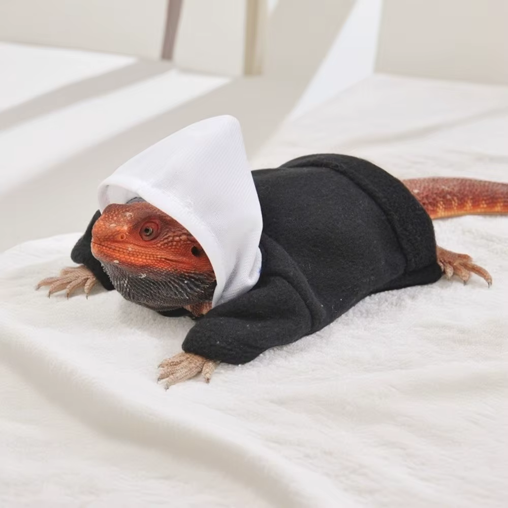 Chaquetas de Calor para Reptiles - Transformación Colorida con Capucha Impermeable para Lagartos y Escalofríos Suaves — imagen 3