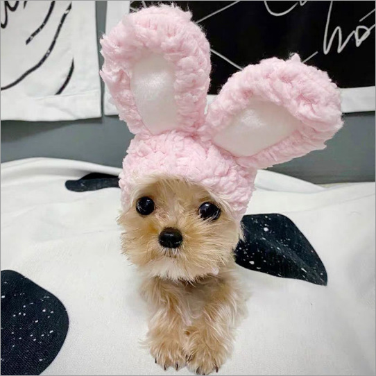 Sombrero para mascotas con orejas expuestas anti-pérdida de pelo ajustable sombrero pequeño para perros — imagen 21