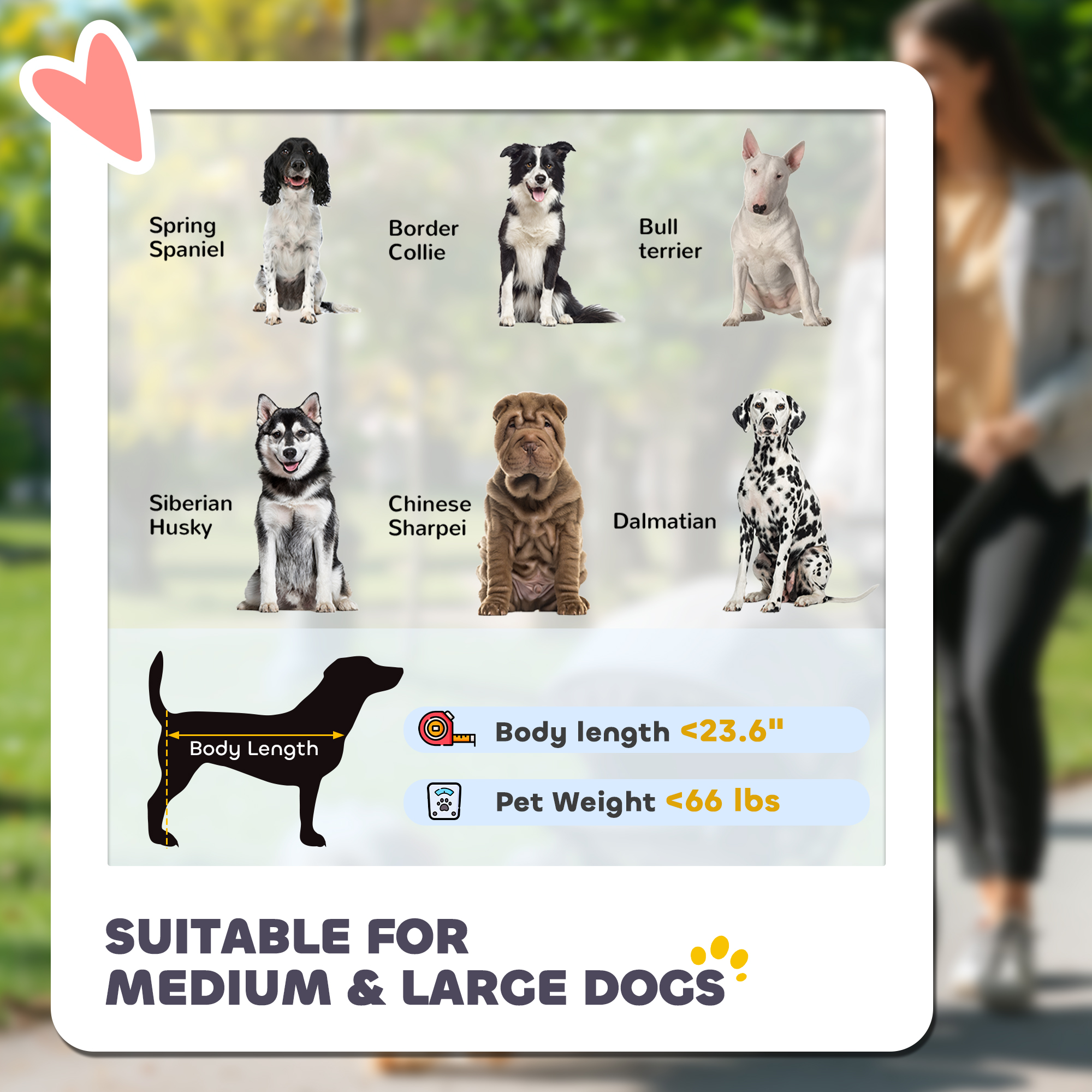 Carruaje de Perro Plegable con Un Solo Botón para M y G perros, Negro — imagen 2
