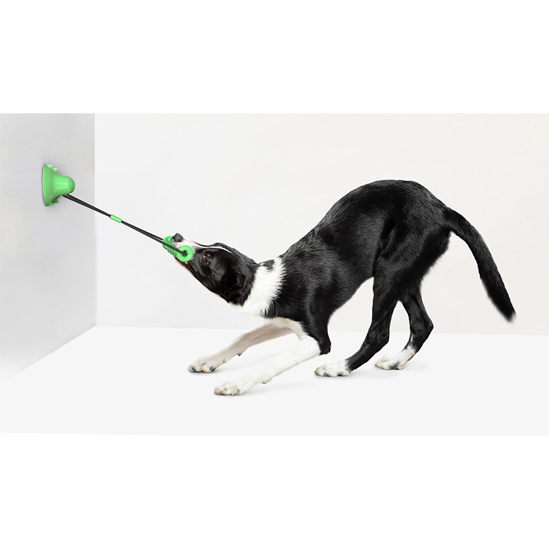 Dog Toy Double Suction Cup Pull Rope Molar Bite Resistant Tooth Cleaning Stick Pet Products — image 4