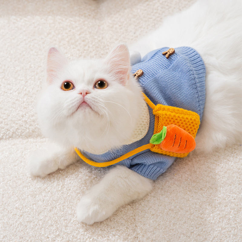 New Cute Cat Clothes Hair proof Autumn Puppet Kitten English Short Blue Cat Pet Autumn Winter Cat Sweater — image 2