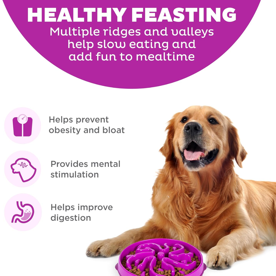 Hound Feeder Slo Bowl Large 4 Cup Capacity, Slow Feeding, Medium To Large Dogs, Non Slip, Purple, Flower Pattern — image 3
