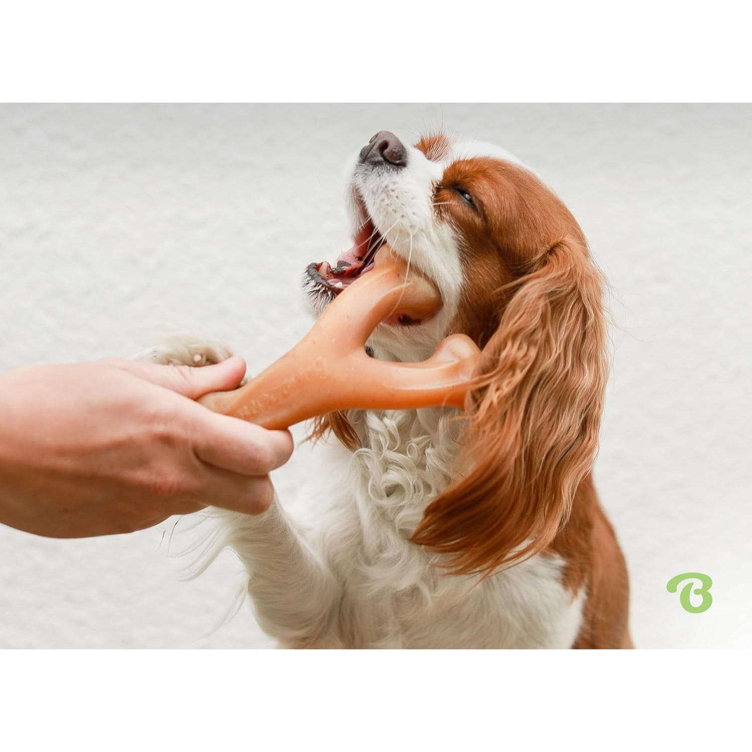 Wishbone Jugoso Juguete de Mordida para Perros Agresivos con Bacon Real, Medio — imagen 2