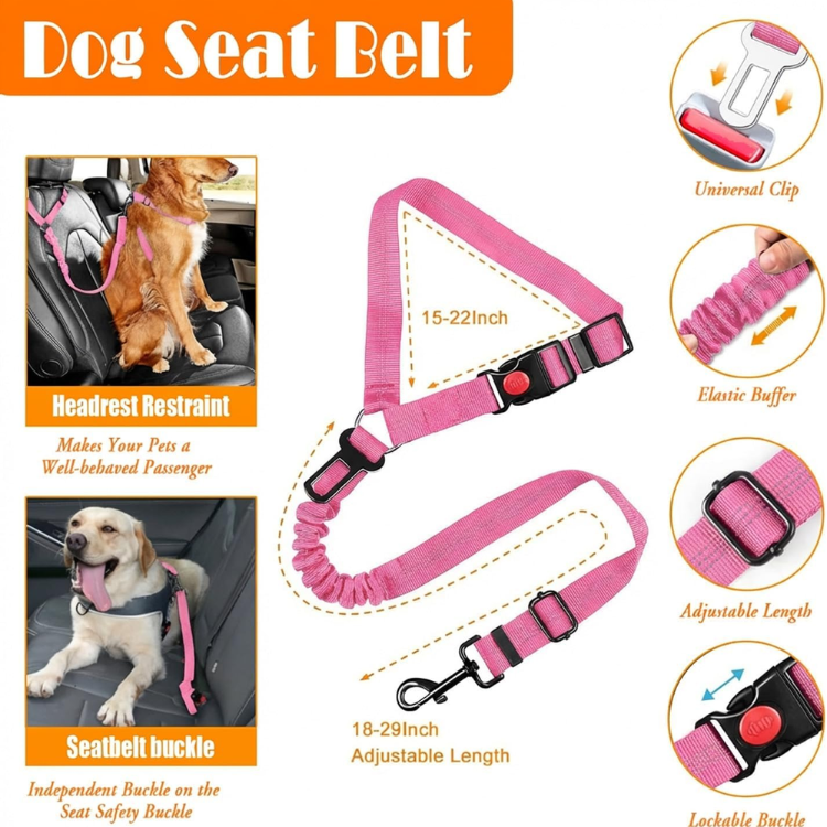 No Pull Dog Harness, Collar & Leash Set With Travel Accessories — image 2