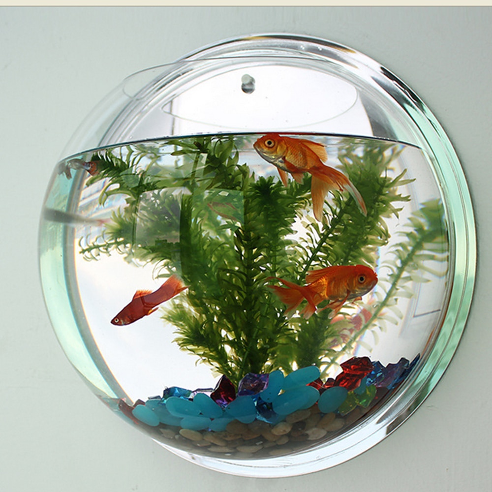 Pot Plant Wall Mounted Newest Hanging Decor Bubble Bowl Flowers Fish Tank Home Decor Aquarium Home Decoration Accessories — image 1