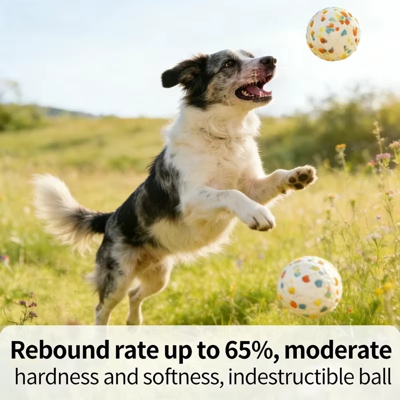 Pelota elástica para perros, alta rebote, flotante, resistente al mordisqueo, para entrenamiento y juego interactivo — imagen 3