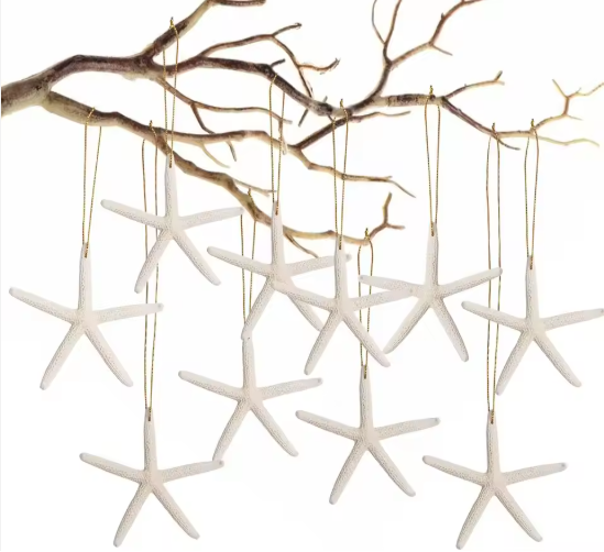 20 Piezas de Adornos Navideños Colgantes de Estrella de Mar, Estrellas de Mar Naturales de 3-4'' con Cuerda — imagen 1