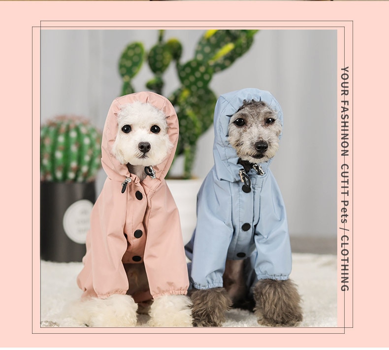 Ropa impermeable para perros - Chaqueta de malla respirable y reflejante para días lluviosos — imagen 4
