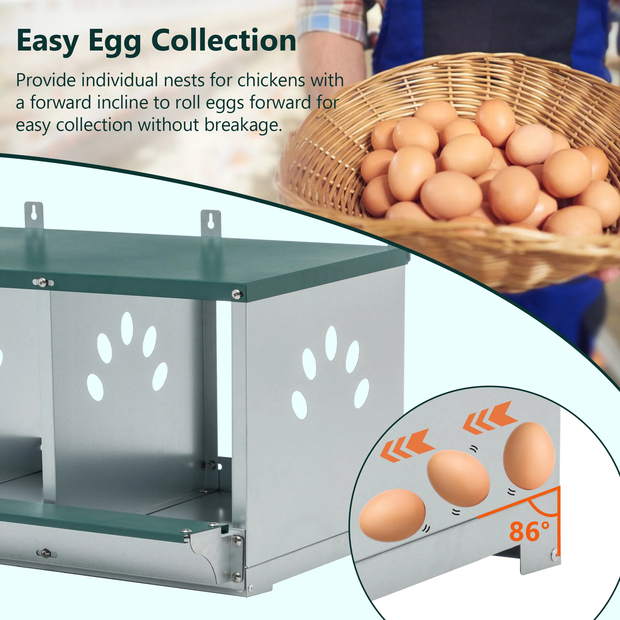 3 Room Metal Chicken Nesting Boxes 3 Compartment Egg Coop — image 5