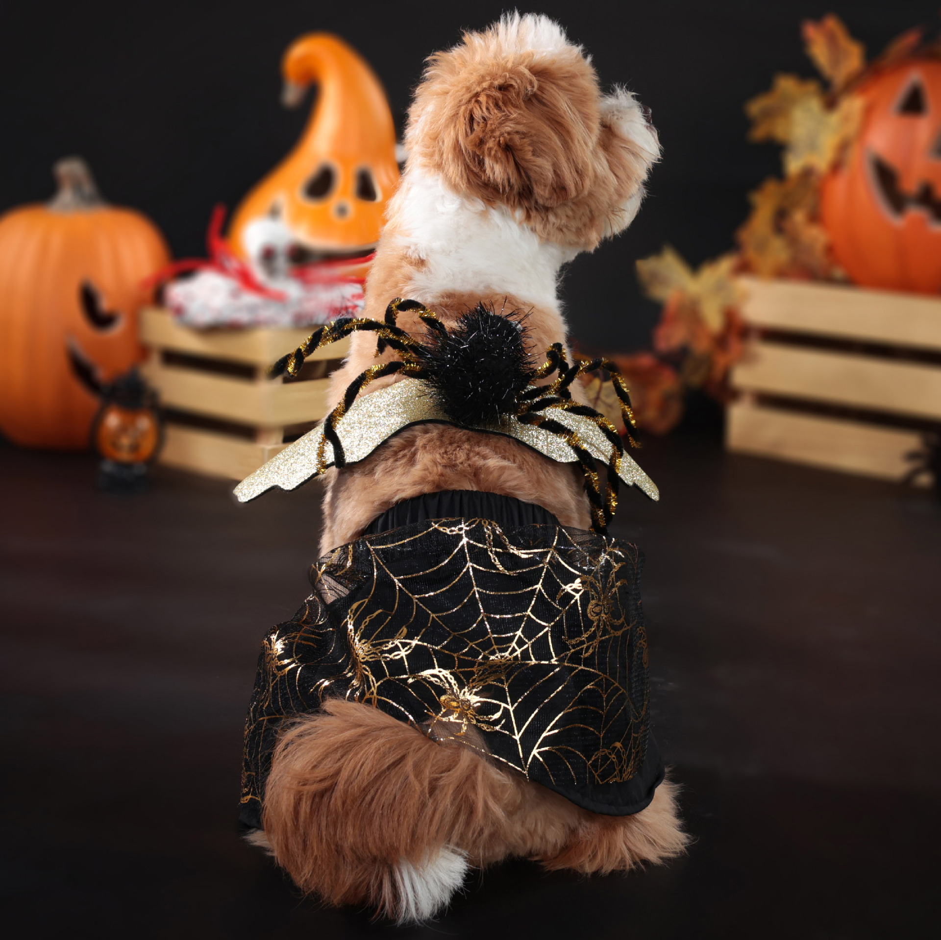 Halloween Pet Dog Costume Spooky Spider Wings Transformation Dress Set — image 3