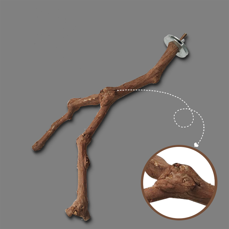 Percha Adicional para Jaula de Loros y Aves — imagen 4