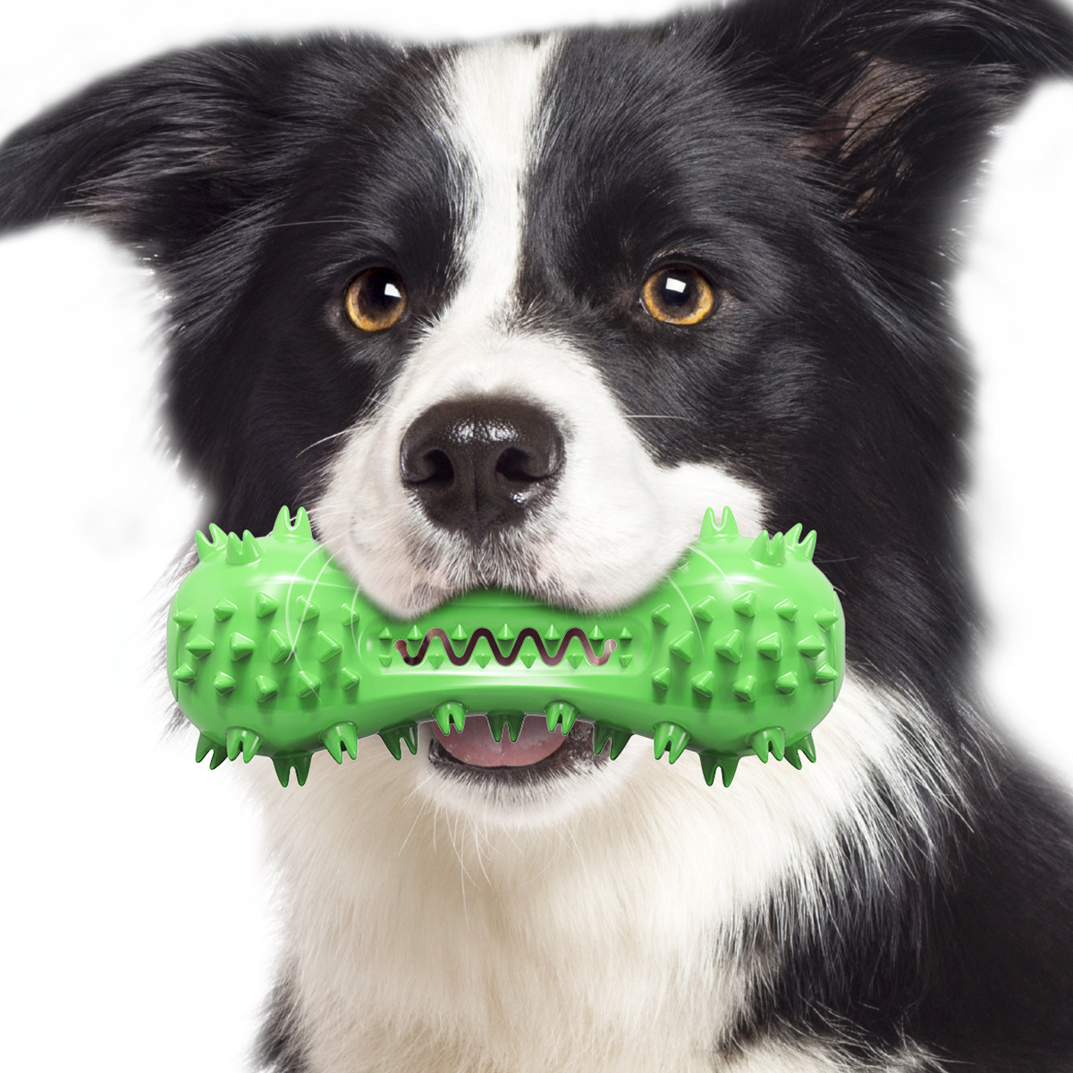 Dog Toothbrushes Dog Voice Molar Sticks Resistant To Gnawing Teeth Cleaning Bones Pet Toys — image 2