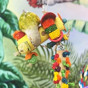 Parakeet Toys, Adventure Series Rainbow Airplane Preening Block Handmade Bird Toy Parrot Toy Set — image 2