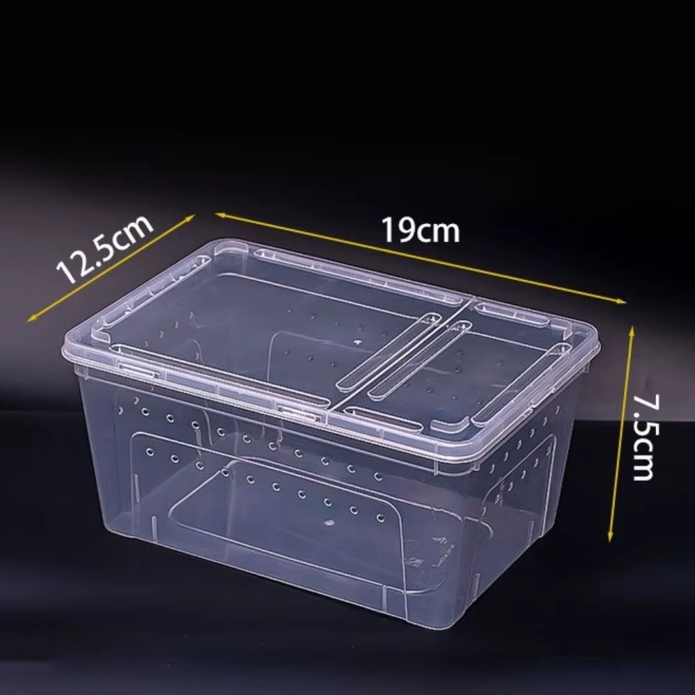 Caja de Cría Reptiliana Transparente Ventilada Apilable Transporte Seguro para Tortugas Contenedor con Visión Claro Prueba de Escape — imagen 6