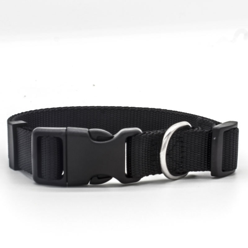 New Pet Collar — image 3