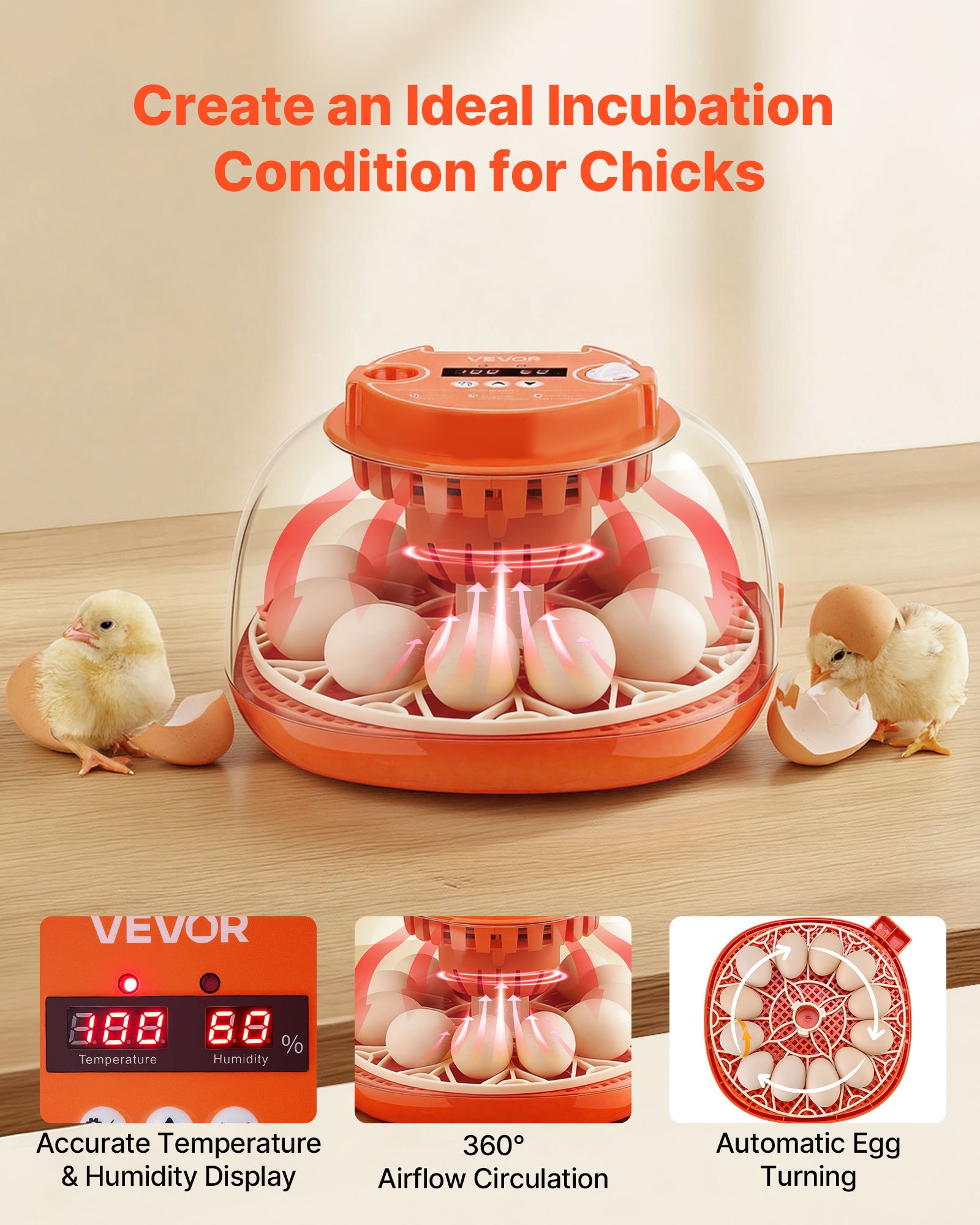 Incubadora de 12 Huevos, Volteador Automático de Huevos con Ovoscopio LED, Control de Temperatura y Humedad, Ventana Transparente de Visión 360°, Incubadora de Huevos de Aves de Corral para Hogar y Granja, para Incubar Pollitos, Patos, Gansos y Codornices — imagen 5