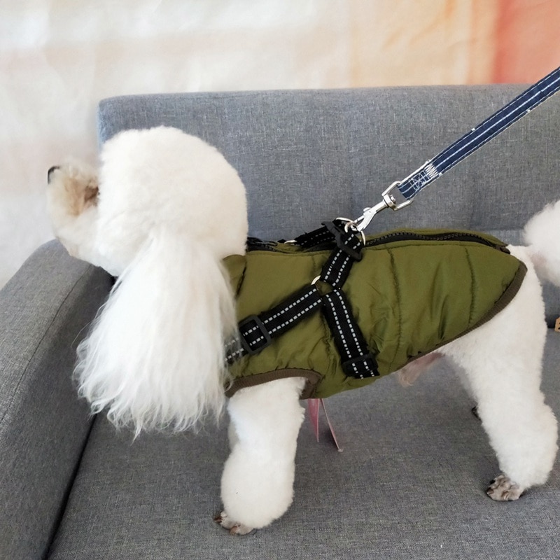 Autumn Winter Pet Skiing Costume Sleeveless Cotton Padded Vest With Durable Chest Strap Harness Clothing Coat Supplies — image 3