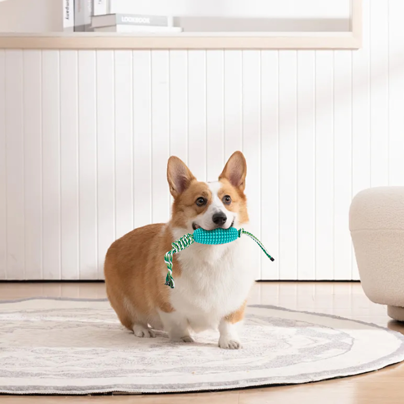 Cepillo Dental Interactivo para Perros con Juguetes de Maíz para Cerdos Agresivos — imagen 4