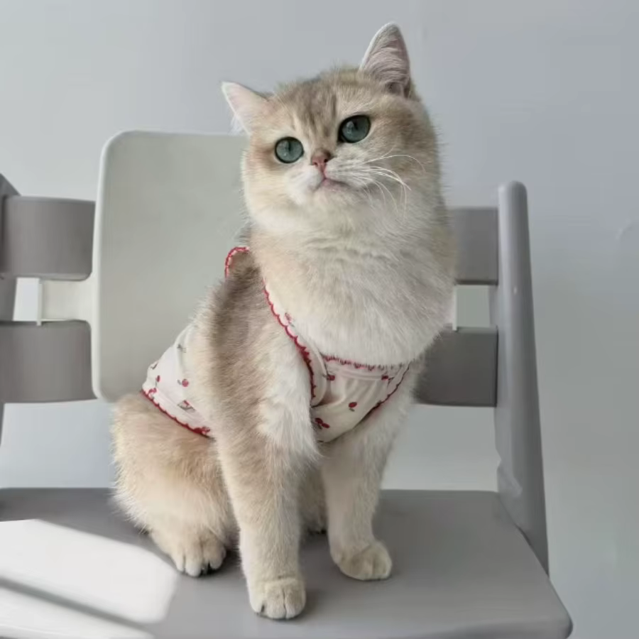 Cute cherry print pet tank top, soft and skin friendly pet clothing — image 5