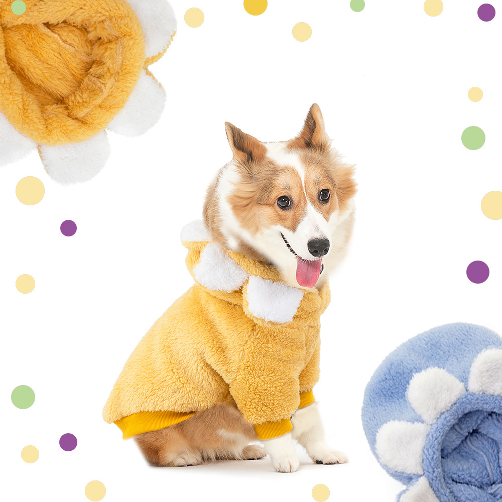 Ropa de invierno para perros - Camiseta de flores solares coreana, versión divertida de invierno y otoño — imagen 1