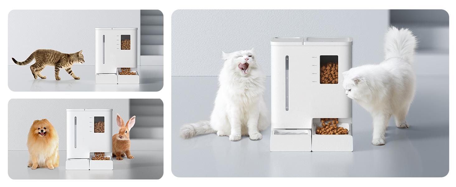 Waithem Alimentador y Bebedor Automático WiFi para Mascotas 2 en 1, Controlado por App, Capacidad de 2 Semanas, Desmontable y Limpiable, Resistente a Humedad — imagen 16