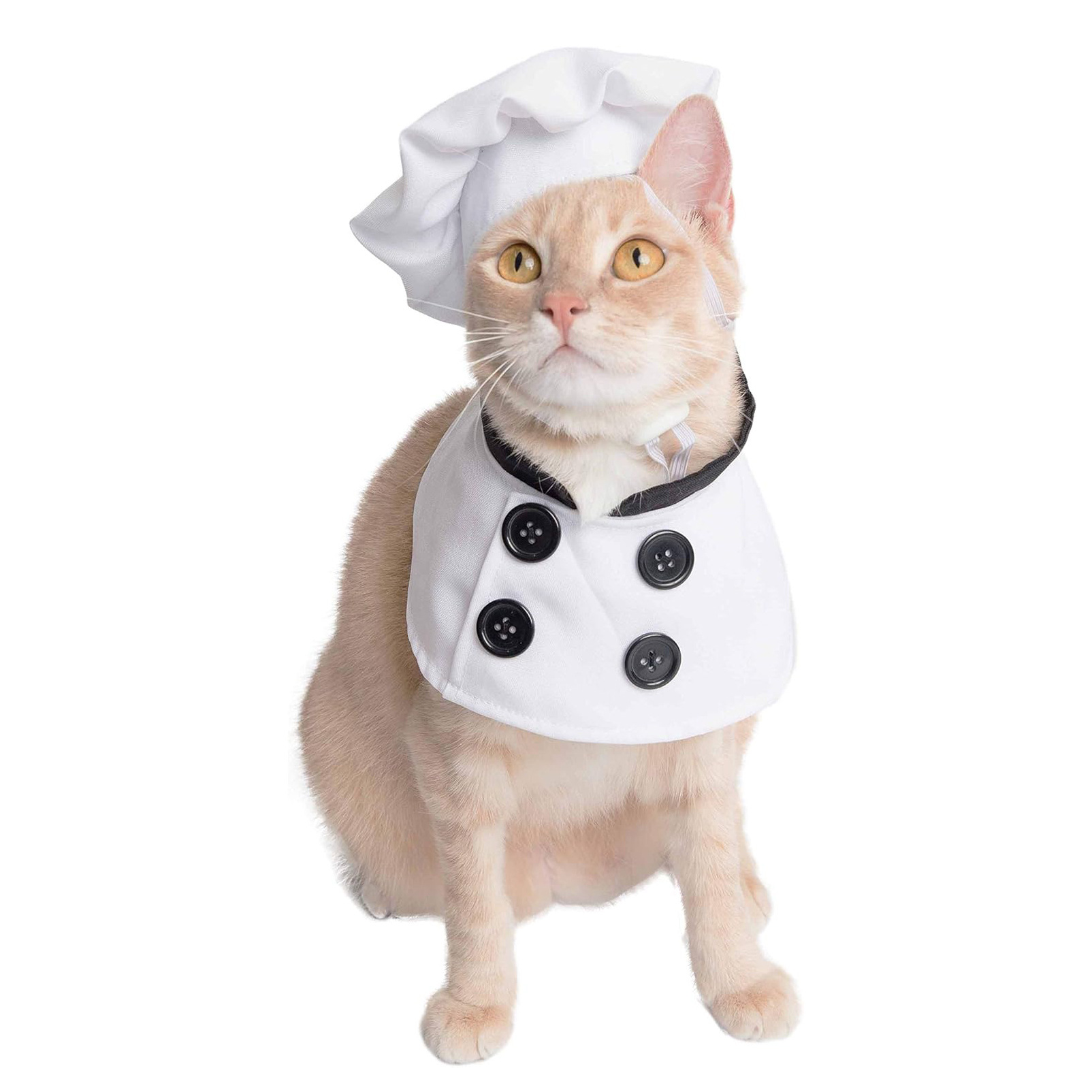 Conjunto de sombrero y ropa para perro chef, disfraz de pato en la puerta, Halloween cosplay — imagen 2