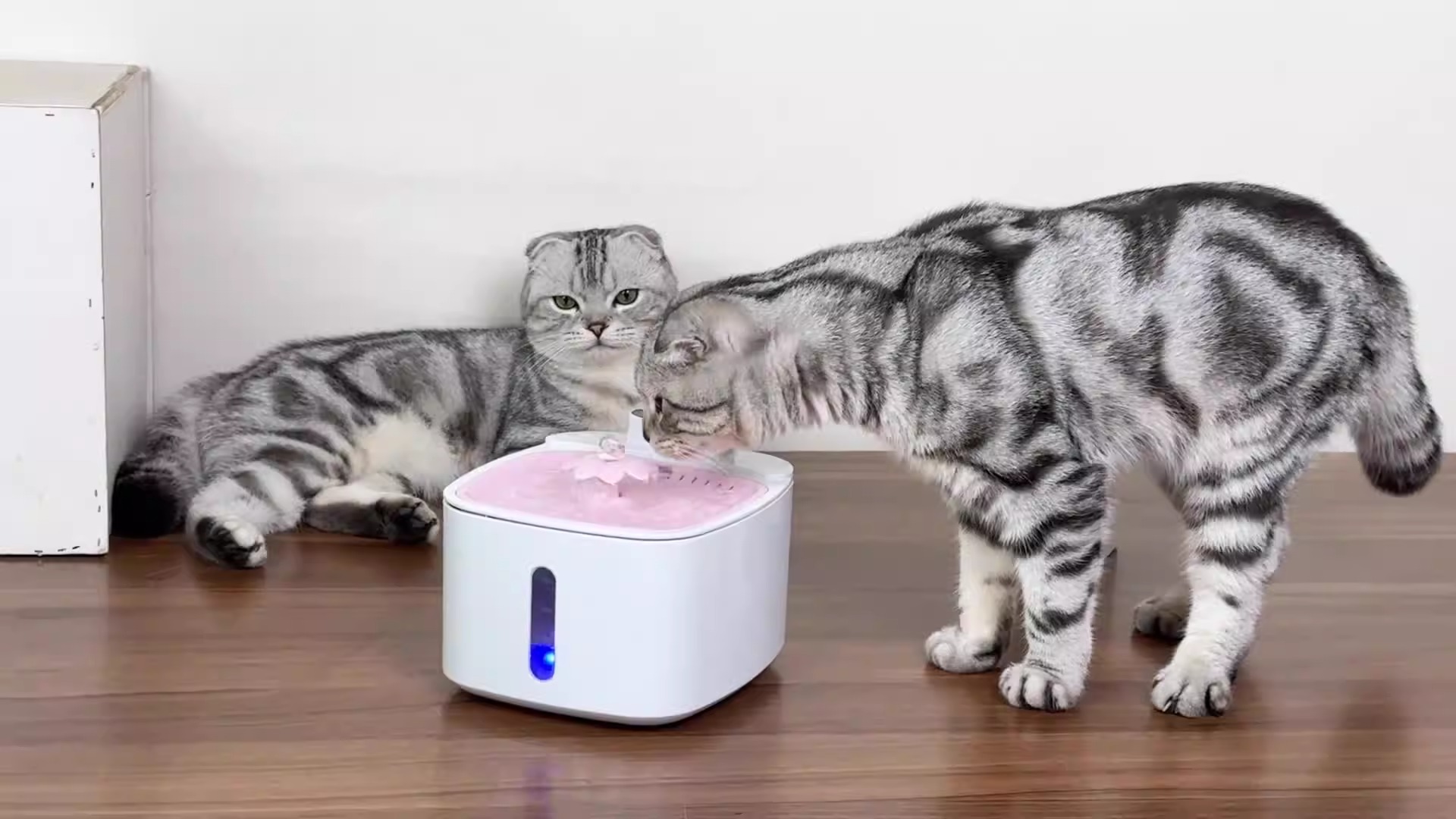 Dispensador de agua para mascotas con carga inalámbrica por inducción, inteligente, con gran capacidad y filtración circulante, para gatos y perros móviles al aire libre — imagen 5