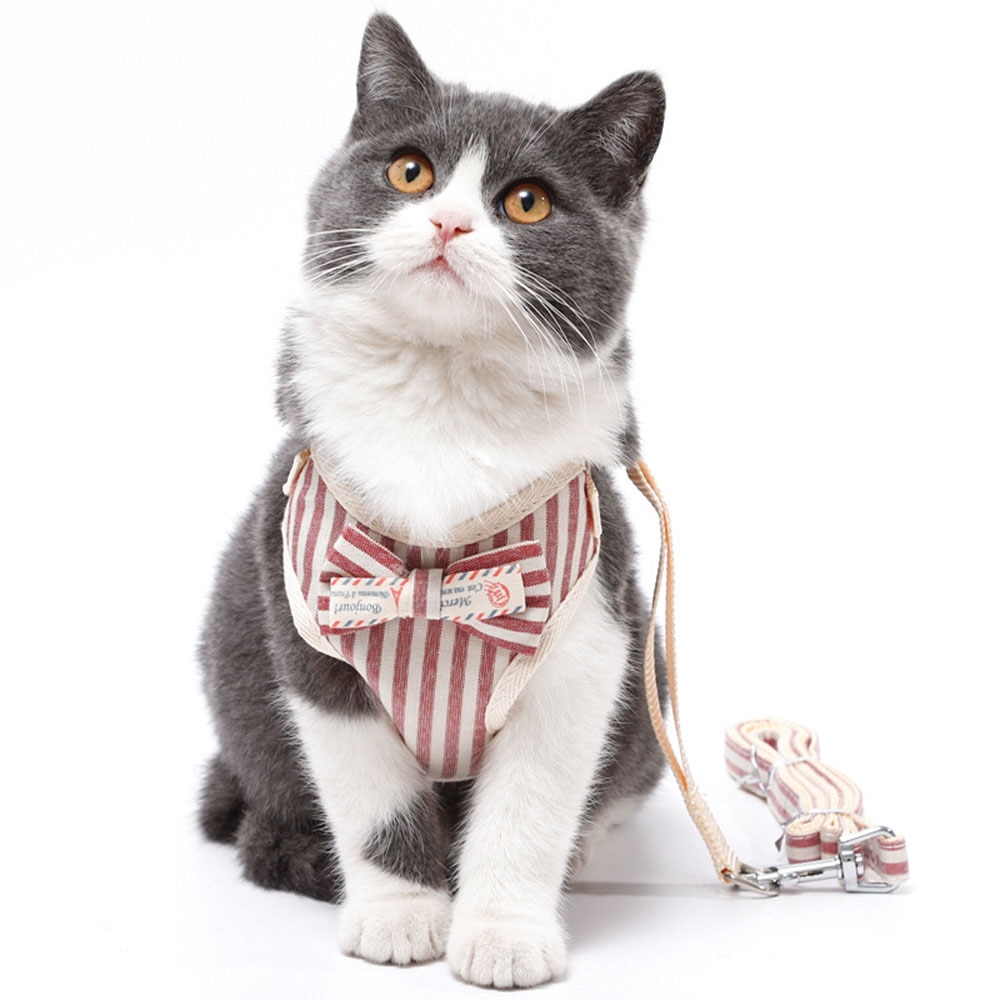 Cute Dog Cat Harness and Leash Set Nylon Mesh Pet Puppy Harness Lead Cat Collar Clothes Vest for Small Cats Kitten Pet Supplies — image 2