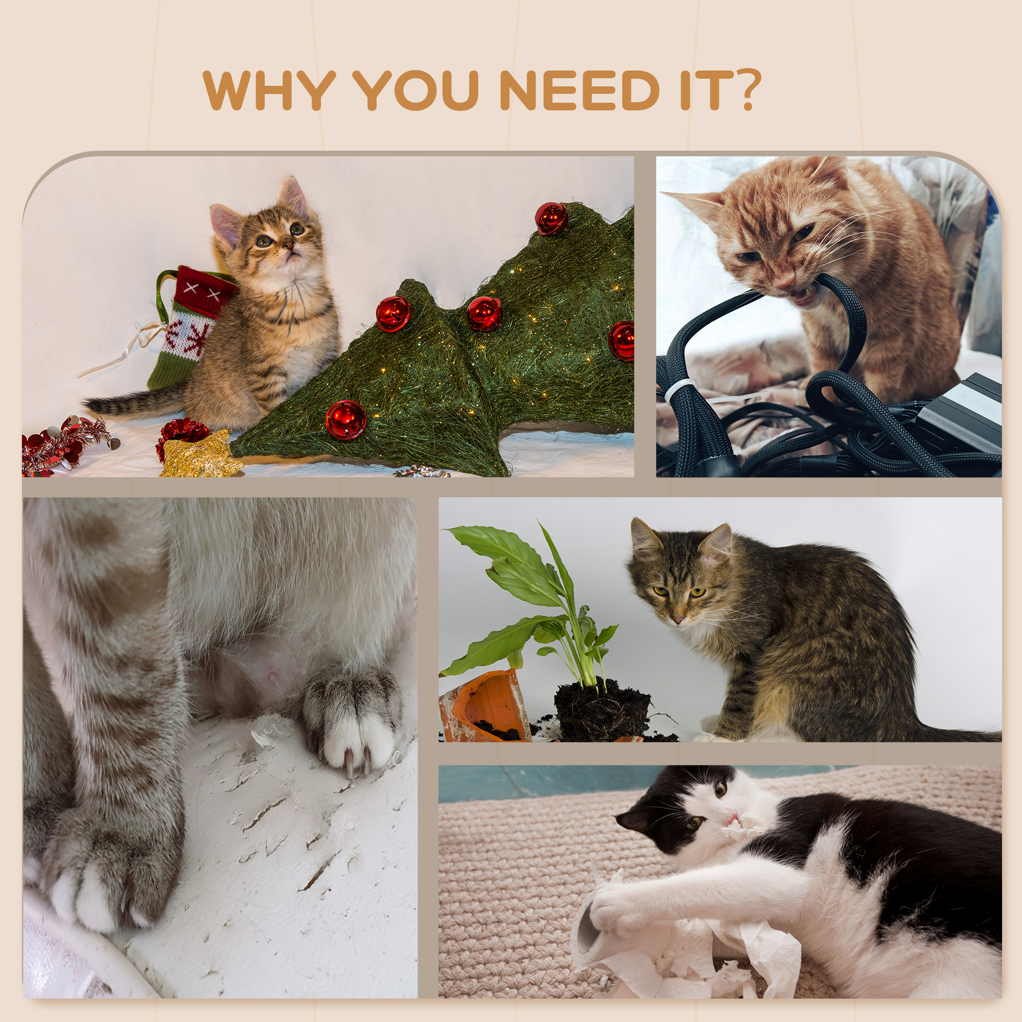 Condomina de Gato en Pared con Almohadilla Limpiable, Madera Natural — imagen 5