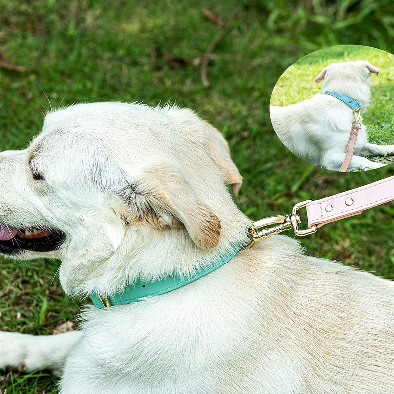 Collar para Perros M, L - Collar de Cuero para Pequeños, Medianos y Grandes Caninos — imagen 5