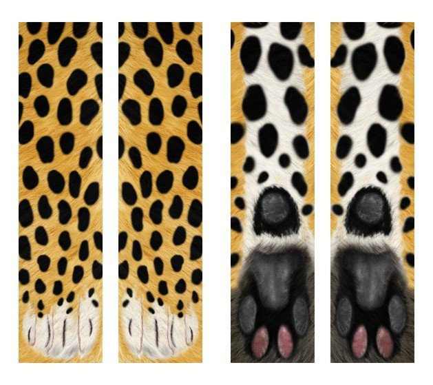 3D Animal Paw Socks Cute Cat Claws Socks Unisex Long Socks — image 7