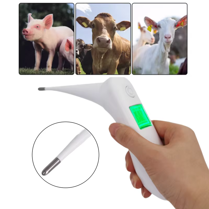 Termómetro para Animales Ovejas, Cerdos, Vacas Pantalla Grande Termómetro de Alta Precisión Cabezal Suave Pistola de Temperatura para Ganado — imagen 1