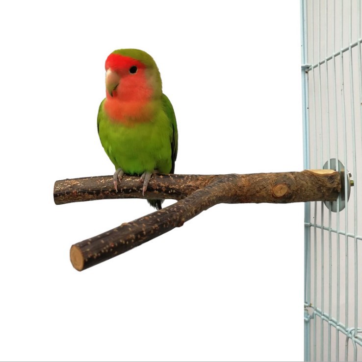 Marco de Pie para Aves - Jaulón de Corte con Rueda de Bambú — imagen 12