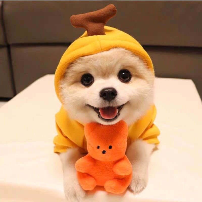 Cute Fruit Dog Clothes For Small Dogs Hoodies Winter Warm Fleece Pet Clothing Puppy Cat Costume Coat For French Chihuahua Outfit — image 11