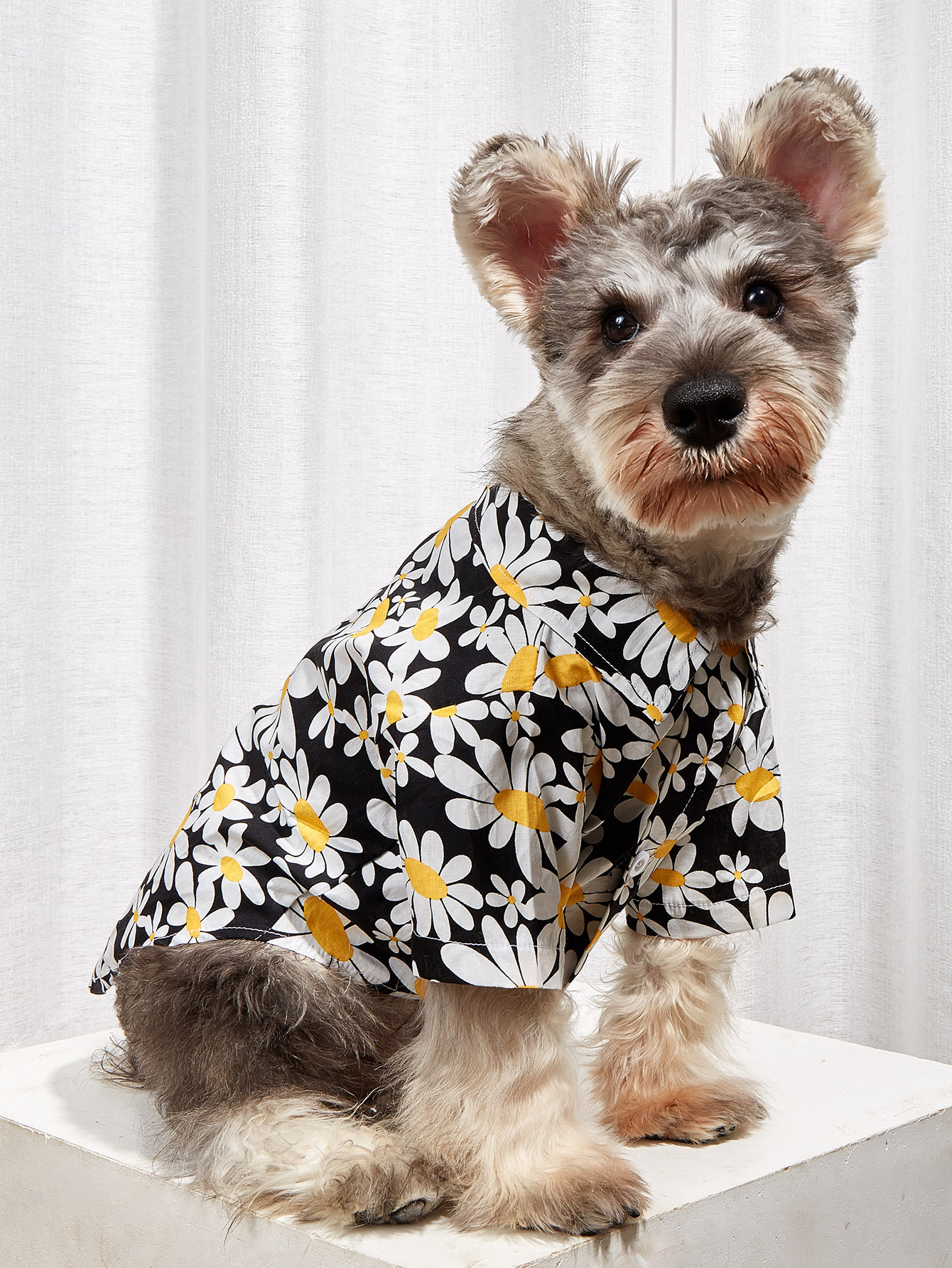 Ropa de Teddy para Perros Pequeños de Verano y Otoño, Sección Delgada para Canes Bichón, Pomerania, Schnauzer y Otros — imagen 1