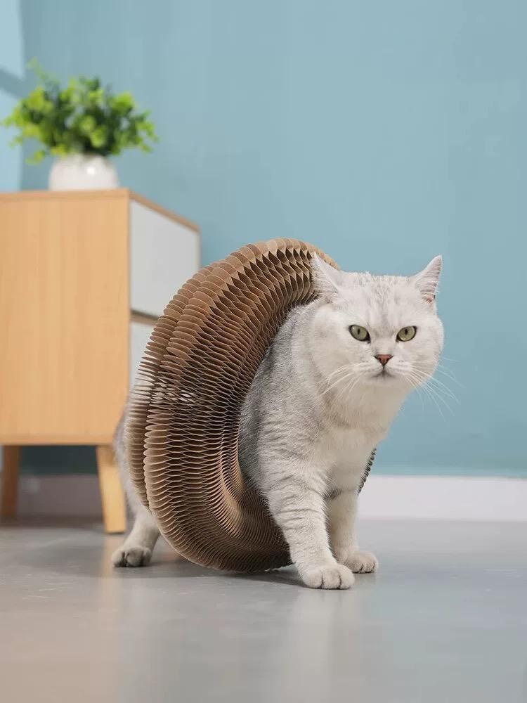 Poste de Rastrillado para Gatos Unico Pieza, Diseño Plegable Accordion, Grano Madera, Anti-arrugas, Resistente al Desgaste, Juguetes Interactivos para Gatos — imagen 10