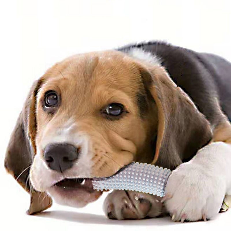 Dog Toy Cucumber Bite-Resistant Molar Stick Puppy Teddy Puppy Relieve Boredom Large And Small Dog Chewing Supplies — image 2