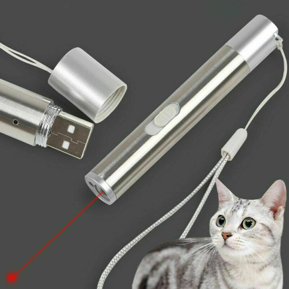 2PCS USB Rechargeable Red Laser Pointer Pen Cat Dog Toys LED Flashlight UV Light — image 19
