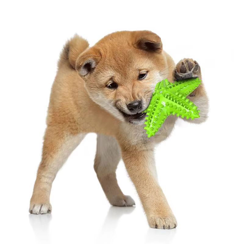 Juguetes para Perros Accesorios de Mascotas Estrellas Forma Muela Dura Saludable Cepillo Dental Juguete para Morder Suministros Pet Ventas — imagen 5