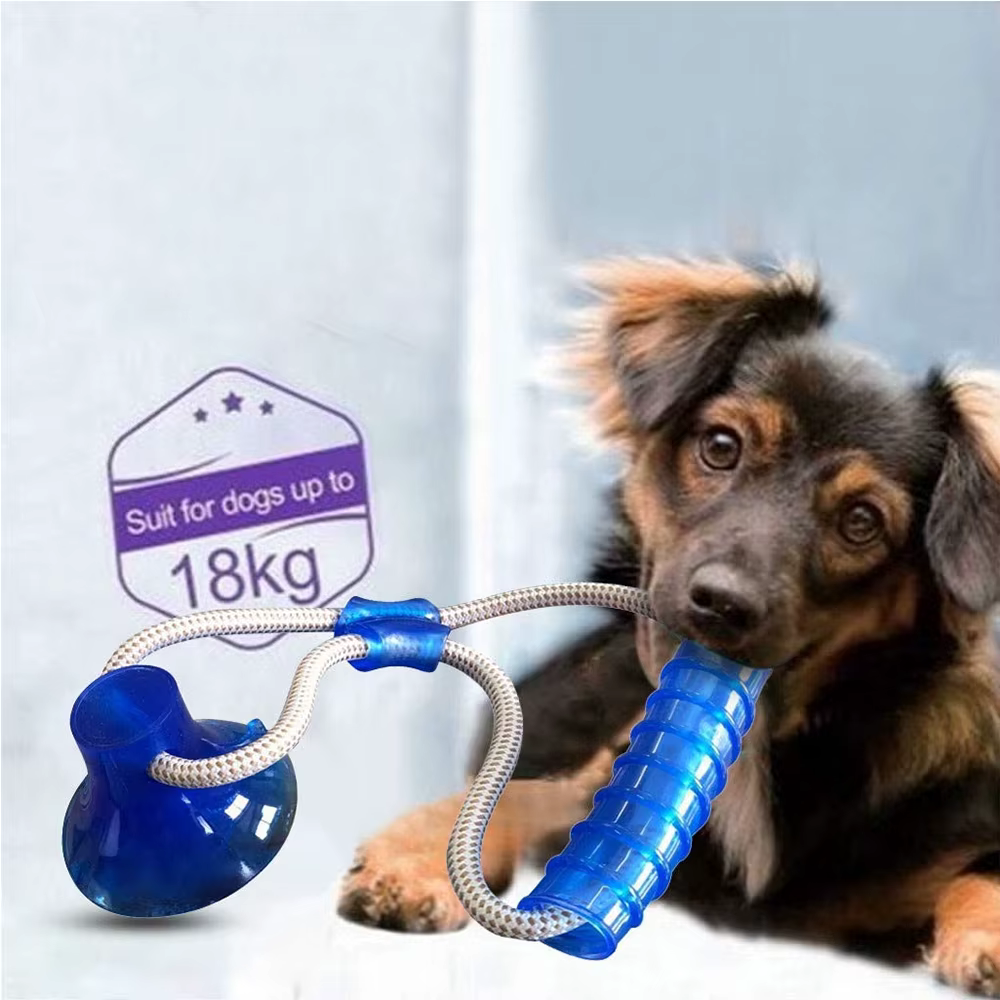 Pet Molar Toy Self-playing Rubber Ball Toy With Suction Cup Dog Interactive Molar Chew Toy Teeth Cleaning Tool — image 3