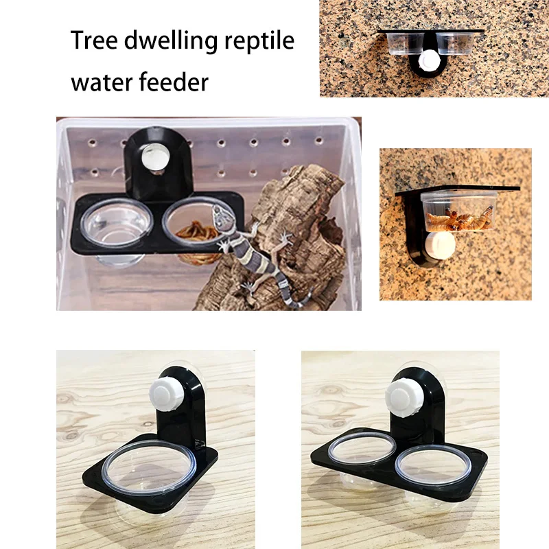 Accesorios para Tanques de Reptiles Comida y Agua para Arañas, Hormigas, Escarabajos, Lagartos, Iguanas, Gecko, Serpientes y Otros Animales