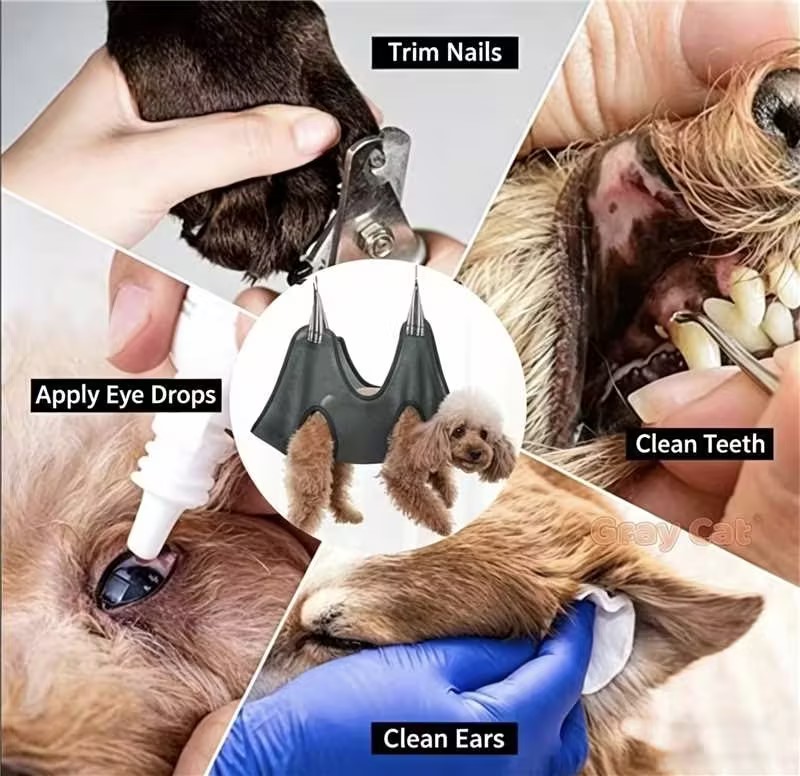 Pet Grooming Hammock for Cats and Dogs, Nail Trimming Bed, Small to Medium Size Pet Restraint Bag — image 7