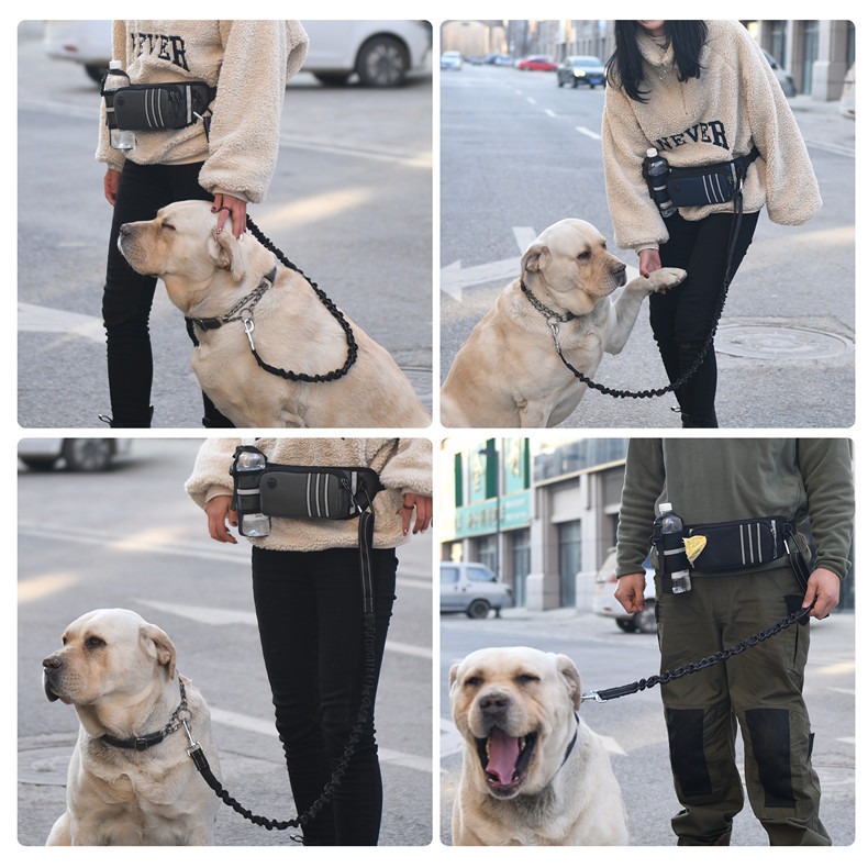 Bolsa de cintura para deportes de running, multifuncional, impermeable, para mascotas, exterior, anti-colisión, elástica, para pasear perros — imagen 10