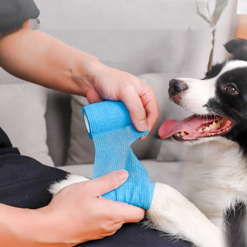 Pet Puppies Go Out To Prevent Dirt Dog Products — image 5