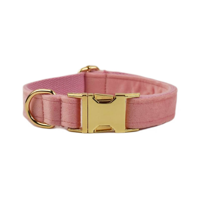 Collar de perro Velvet Collection con grabado personalizado — imagen 6