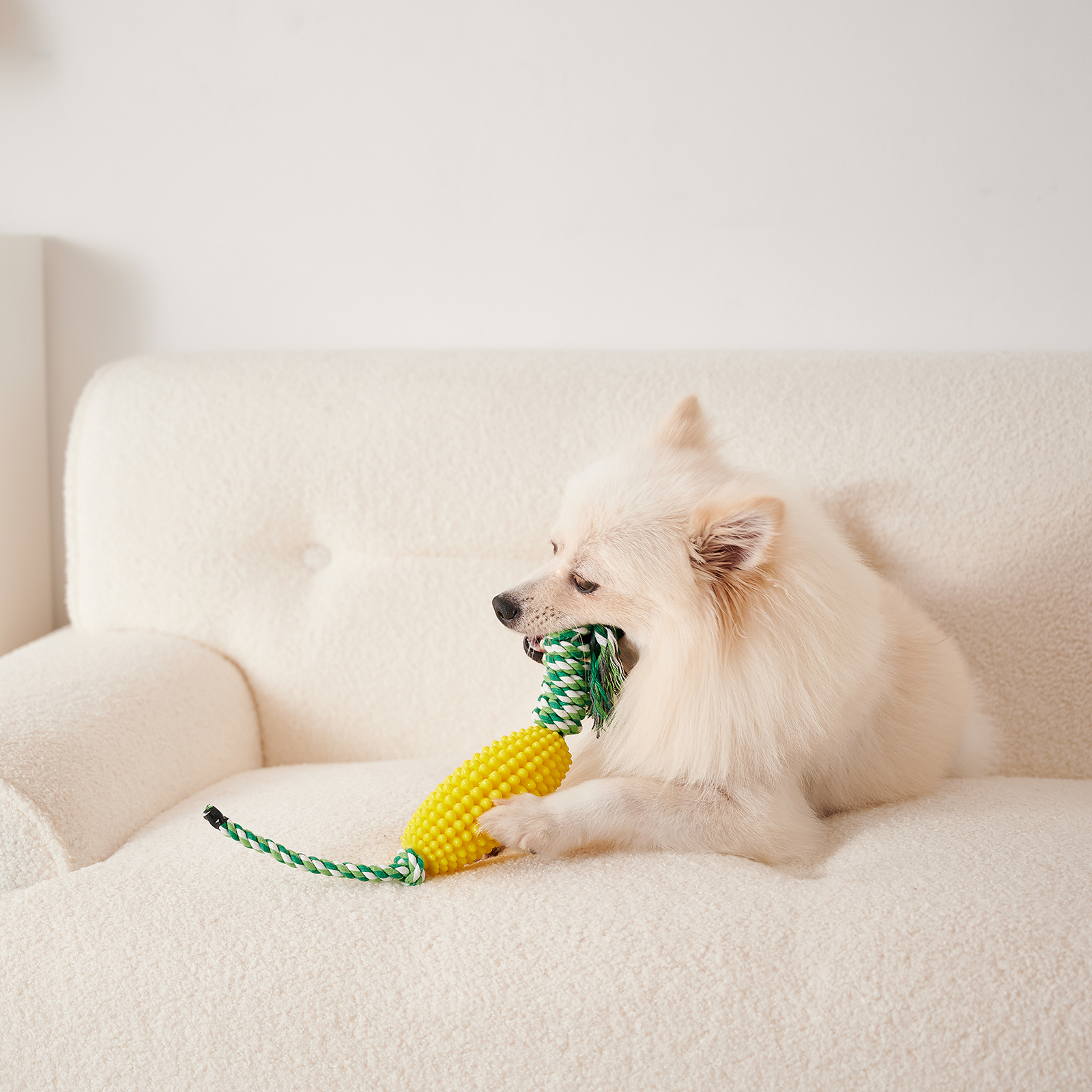 Cepillo Dental Interactivo para Perros con Juguetes de Maíz para Cerdos Agresivos — imagen 13