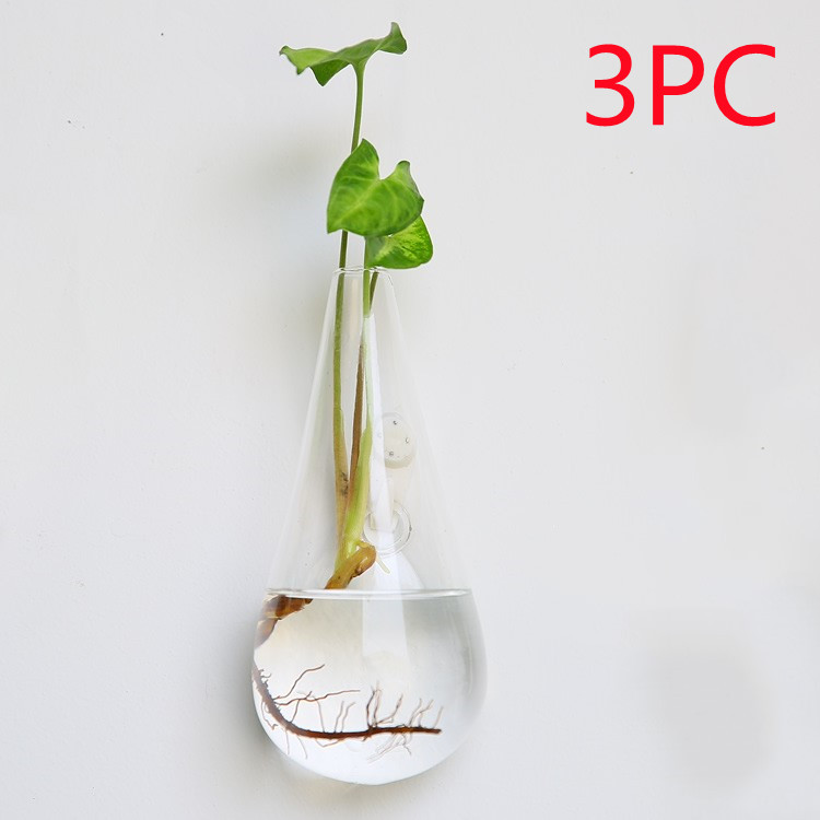 Vaso de Vidrio para Terrario Decorativo en Línea - Jardín Acuático para Hogar — imagen 61