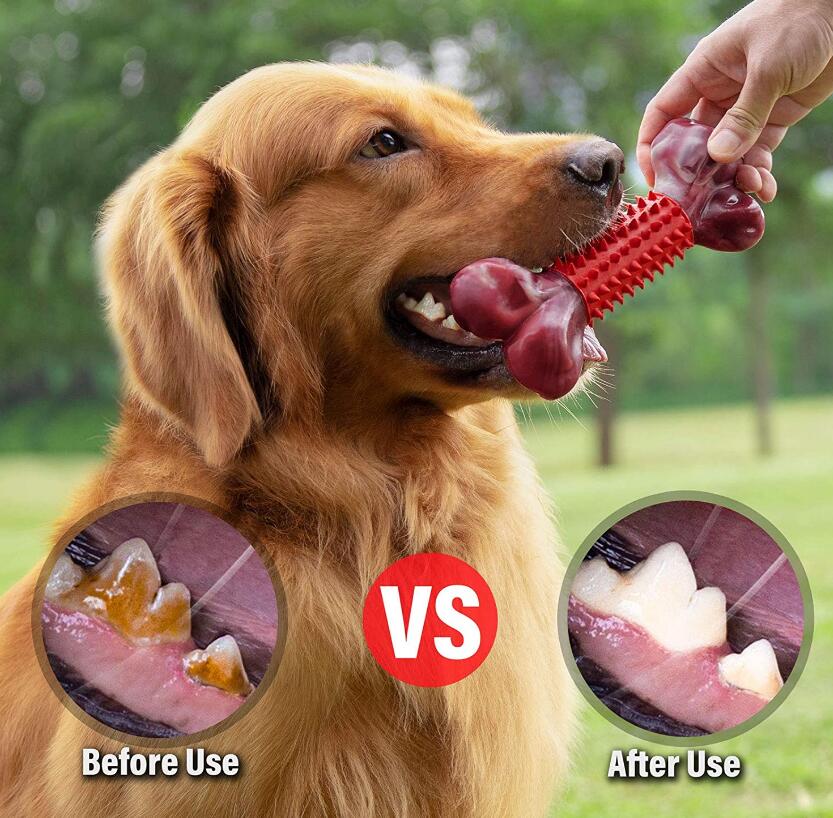Pet Chewing Teeth Cleaning Teeth Bite Resistant Rubber Nylon Bone Pet Toy — image 5