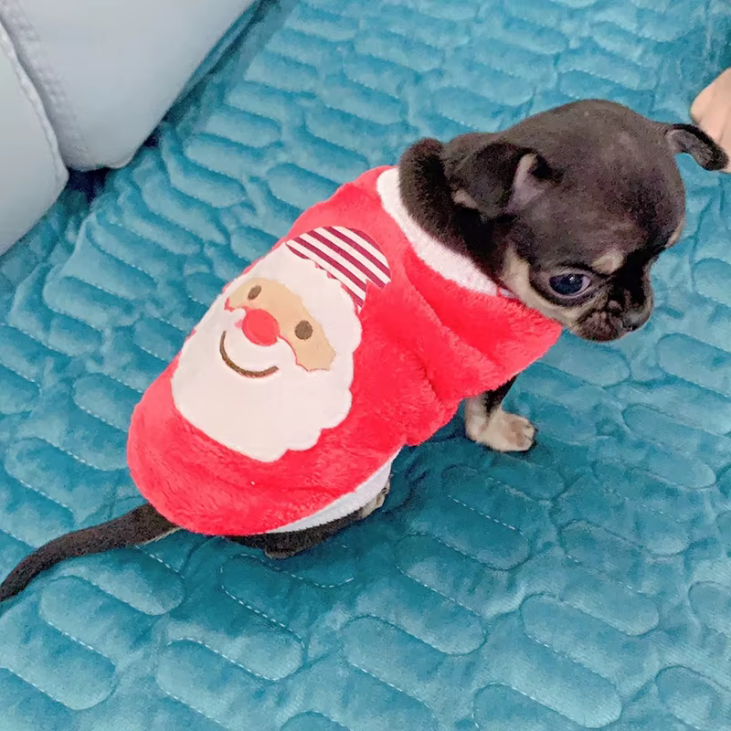 Chaquetas de invierno para perros pequeños: Sweater de taza de té con diseño divertido para cachorros y mascotas — imagen 5