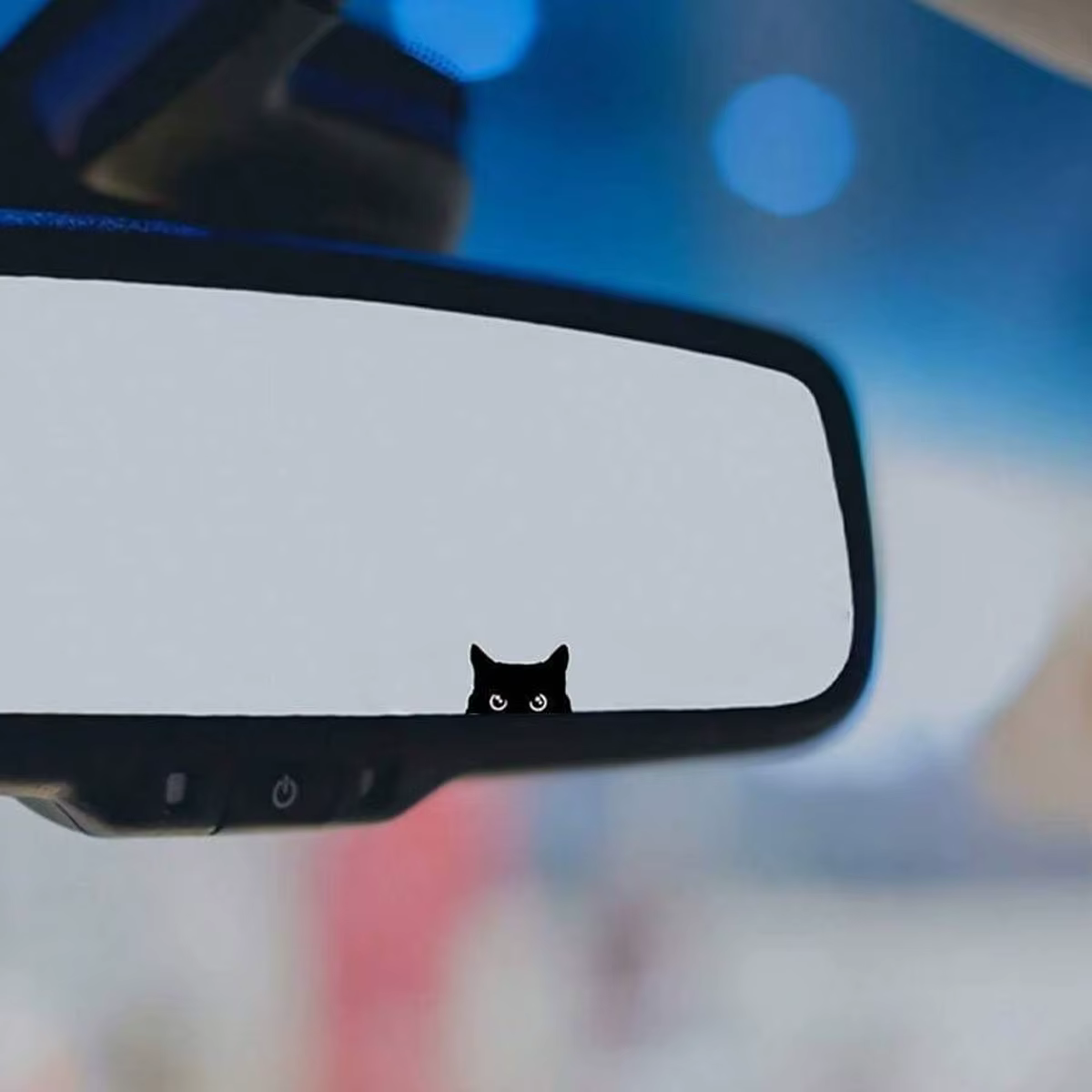 Decal de Gato Mirando: Adhesivo para Vehículos, Computadoras y Muebles — imagen 2